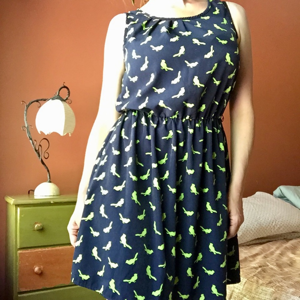 Crazy Bird Lady Summer Dress